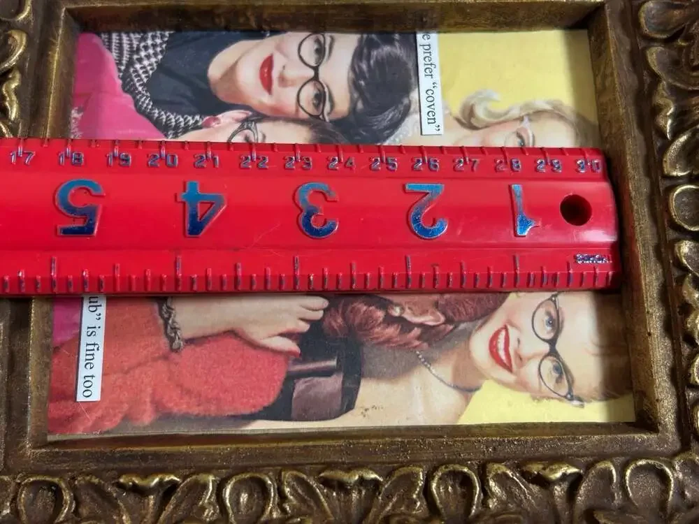 Victorian style Gold Picture frame from the 70’s with funny 60’s women READ